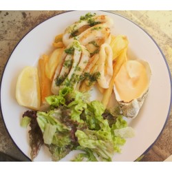 Grilled squid rings